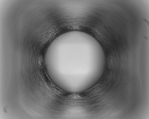 X0000099520747200806051210