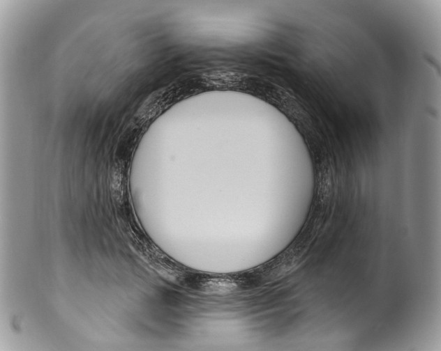 X0000099520749200806051211