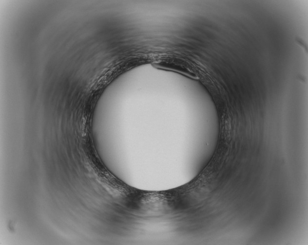 X0000099520750200806051211