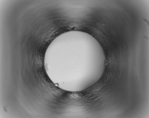 X0000099520751200806051211