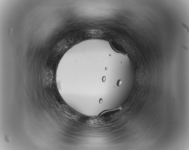 X0000099520752200806051211