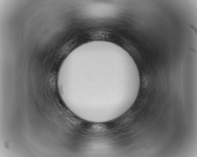 X0000099520753200806051211