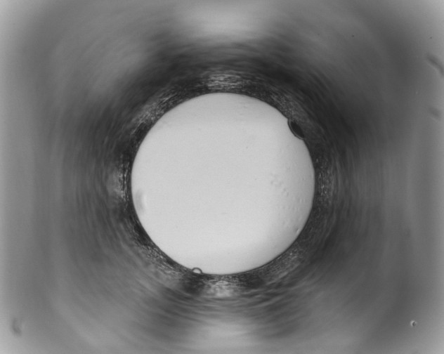 X0000099520755200806051211