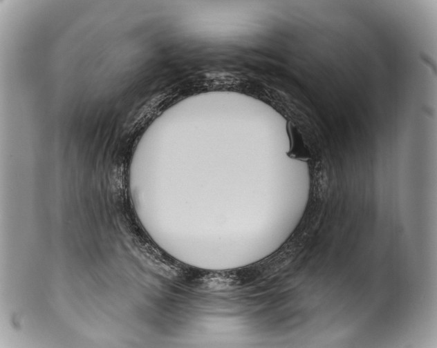 X0000099520756200806051211