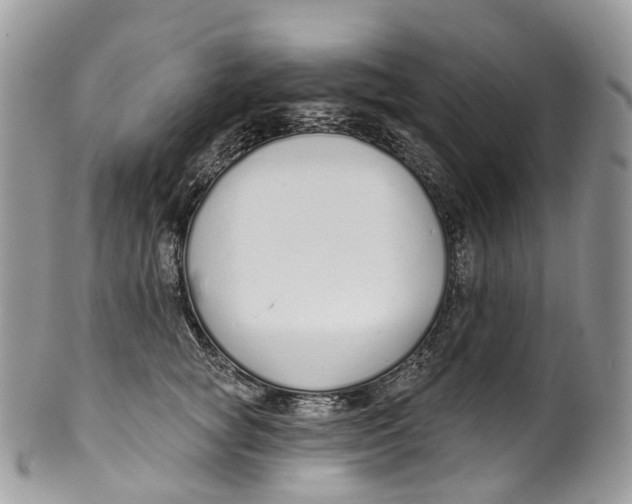 X0000099520757200806051211