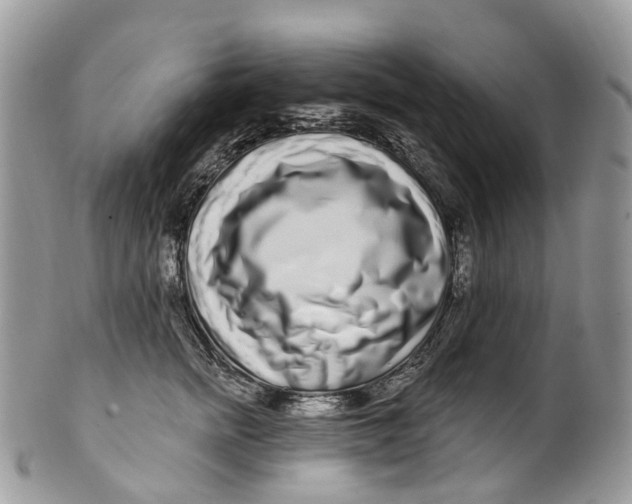 X0000099520758200806051211