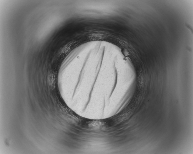 X0000099520759200806051211