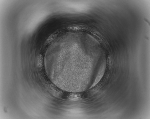 X0000099520760200806051211