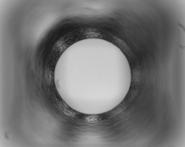 X0000099520761200806051211