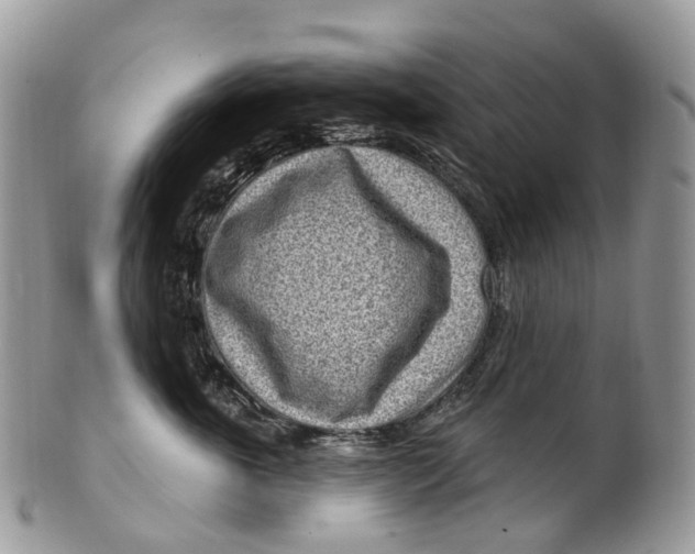 X0000099520763200806051211