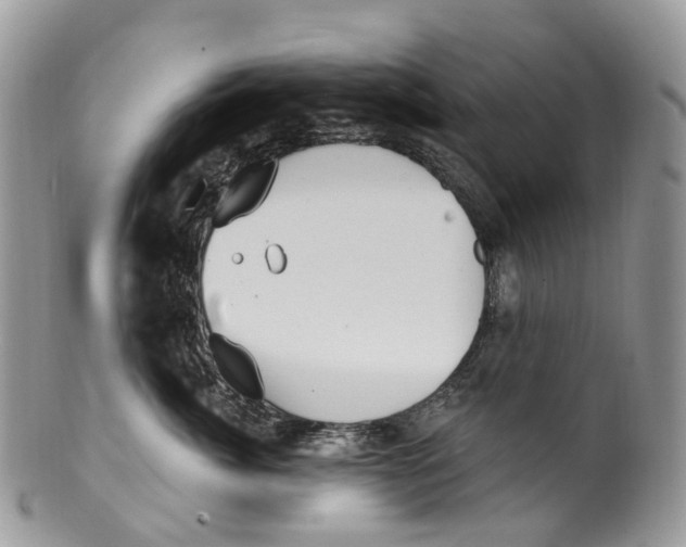 X0000099520764200806051211