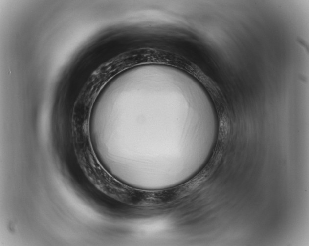 X0000099520765200806051211