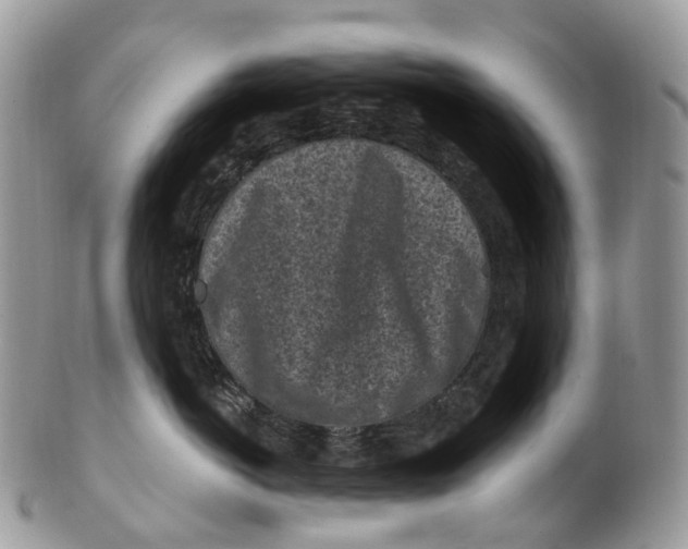 X0000099520766200806051211