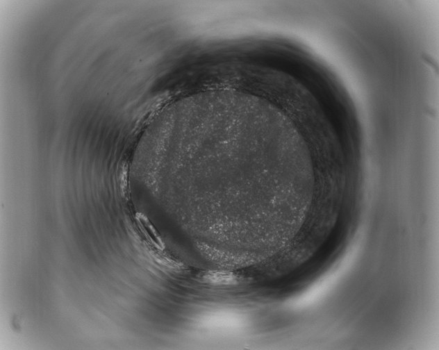 X0000099520767200806051211