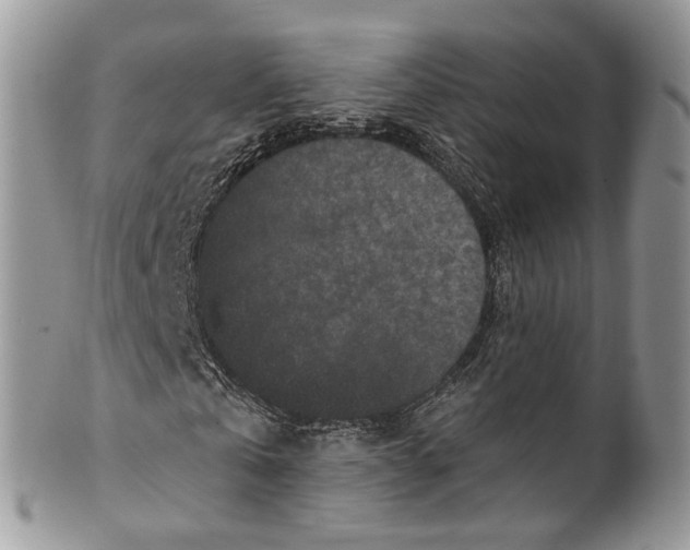 X0000099520769200806051210