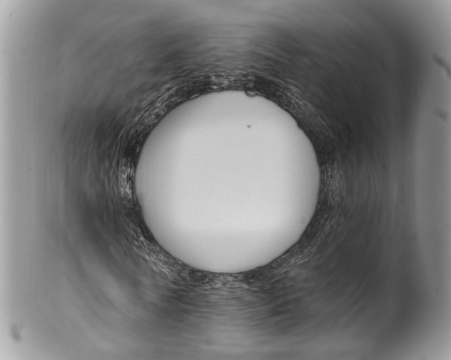 X0000099520770200806051210