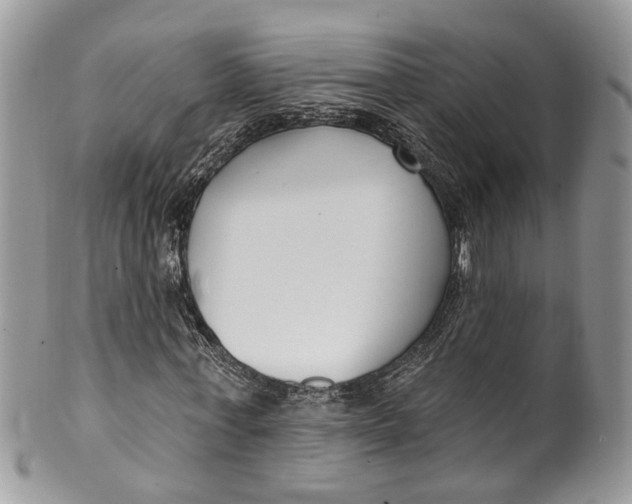 X0000099520771200806051210