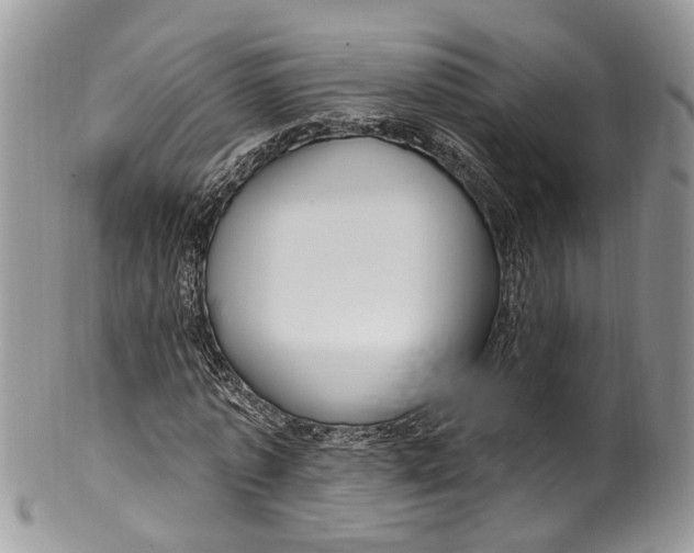 X0000099520773200806051210