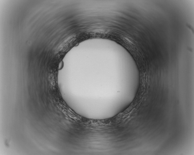 X0000099520774200806051210