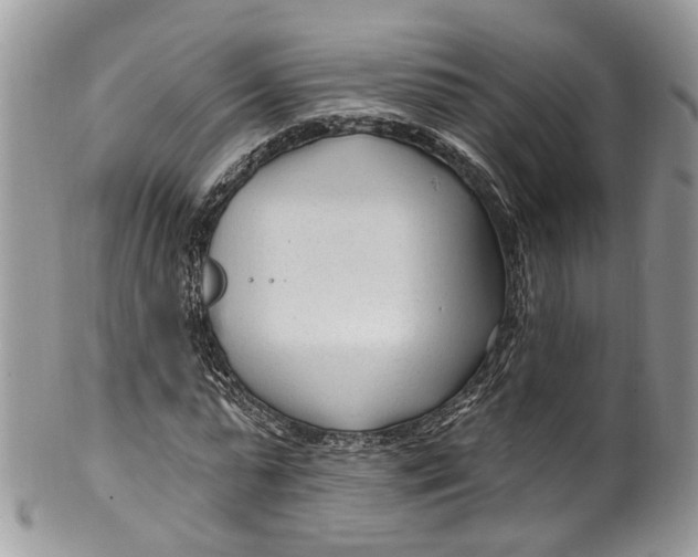 X0000099520775200806051210