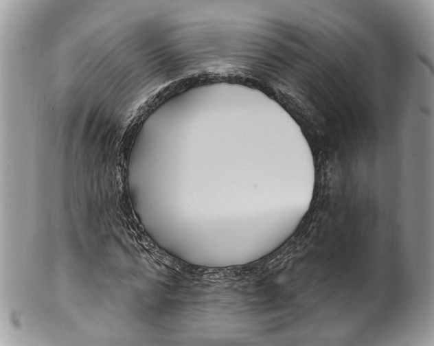 X0000099520776200806051210