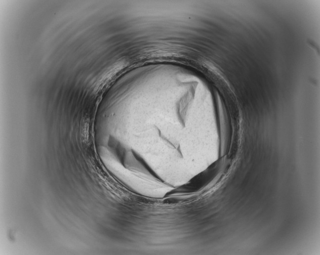 X0000099520777200806051210