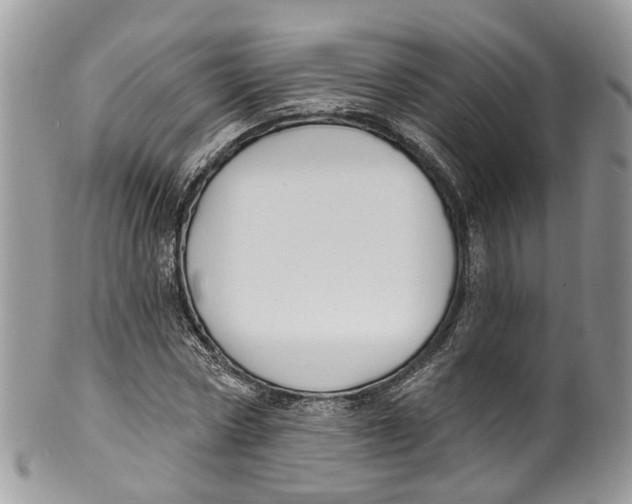 X0000099520778200806051210