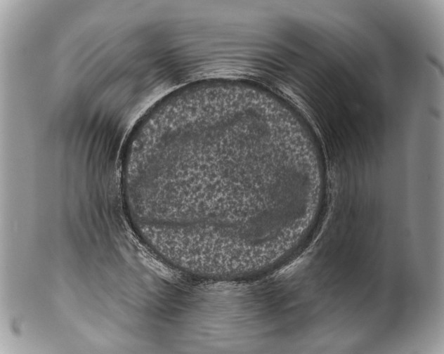 X0000099520779200806051210