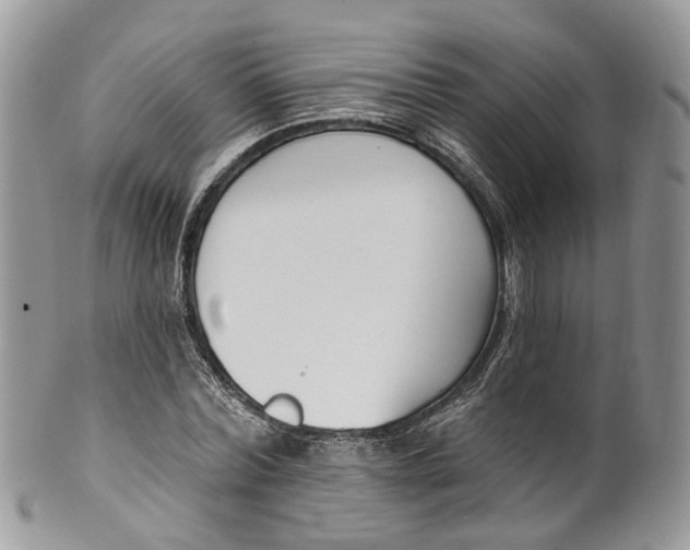 X0000099520780200806051210