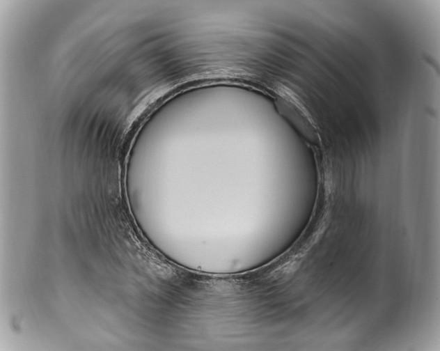 X0000099520781200806051210