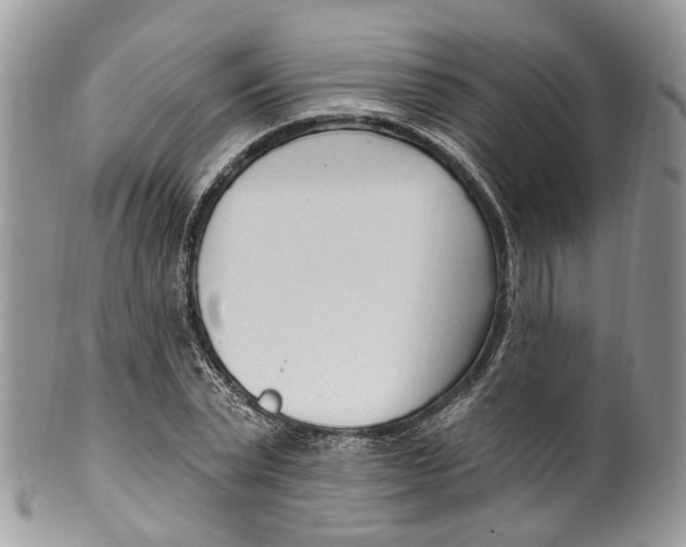 X0000099520783200806051210