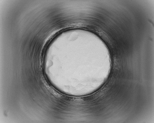 X0000099520784200806051210