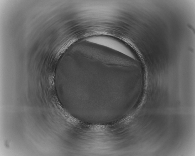 X0000099520785200806051210