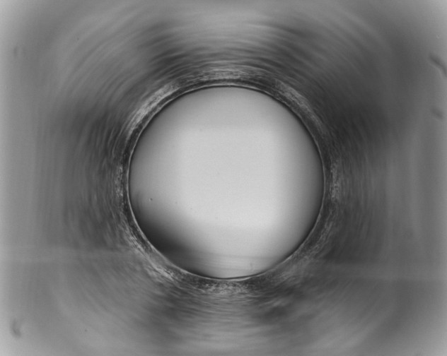 X0000099520786200806051210