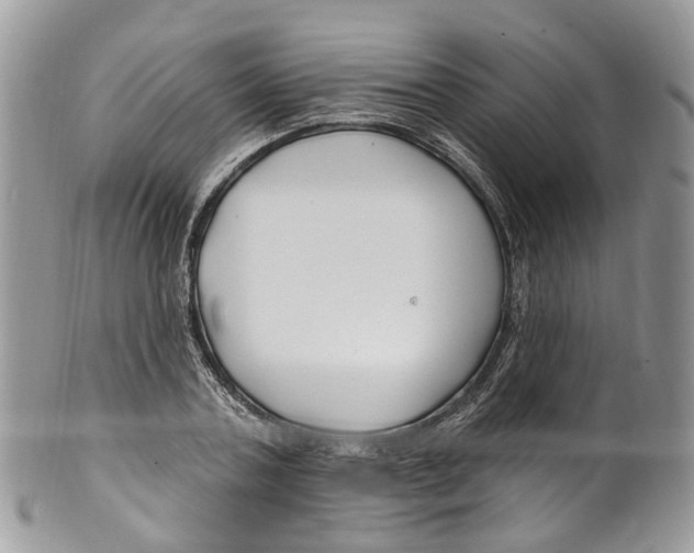 X0000099520787200806051210