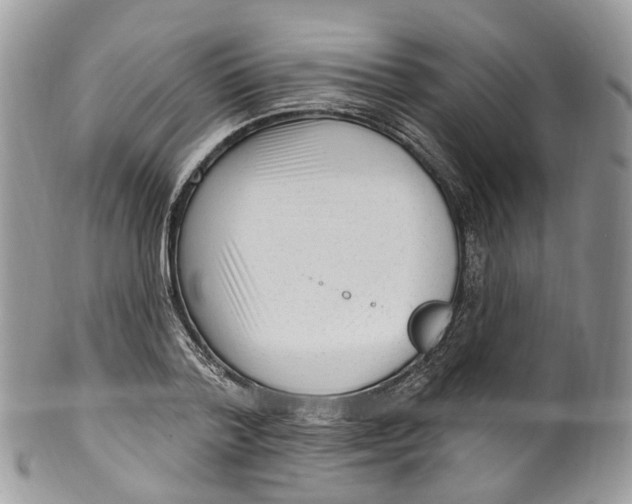 X0000099520788200806051210