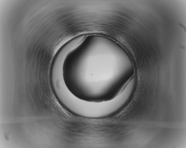 X0000099520789200806051210