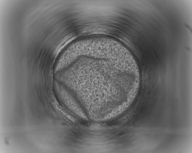 X0000099520790200806051210