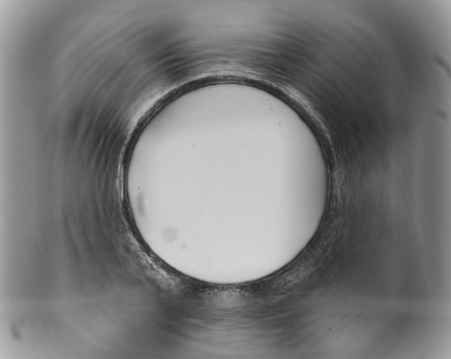 X0000099520791200806051210