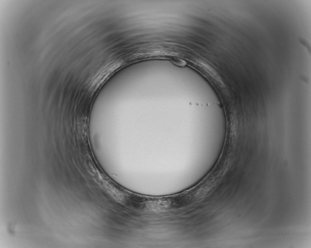 X0000099520793200806051210