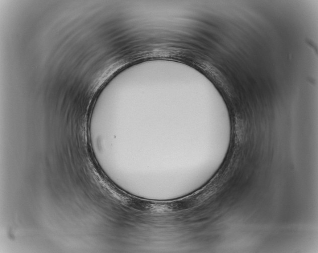 X0000099520794200806051210