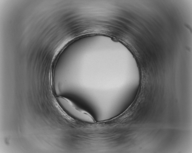 X0000099520796200806051210