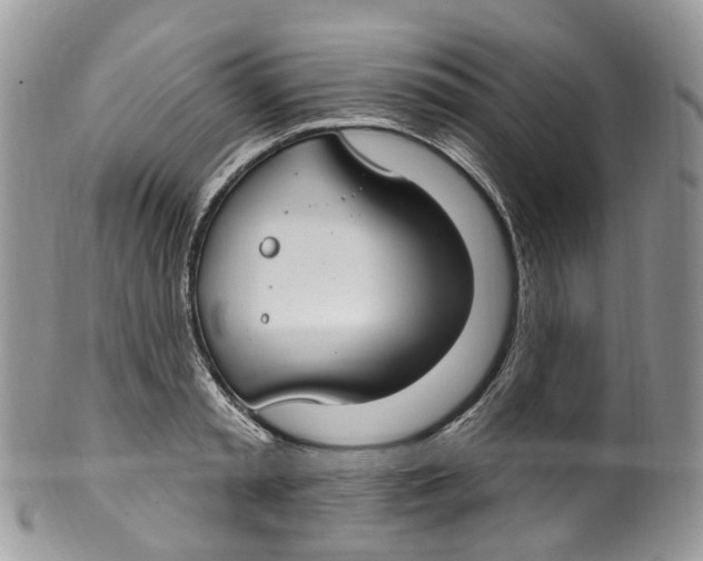 X0000099520797200806051210