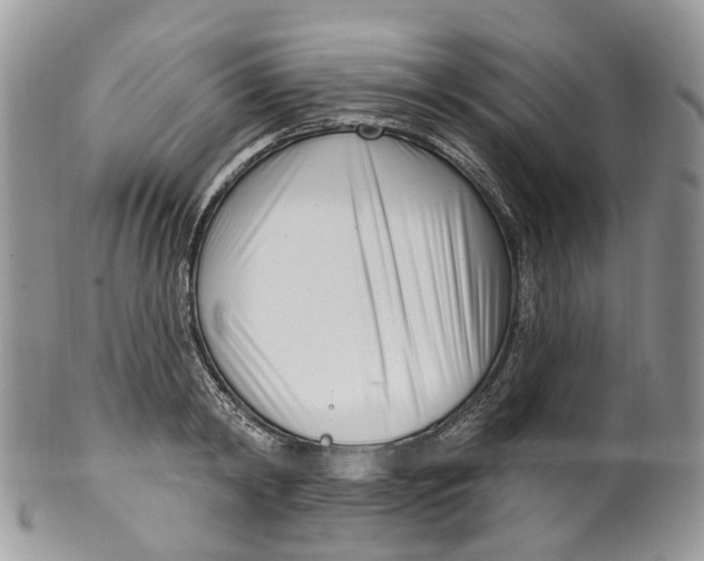 X0000099520798200806051209