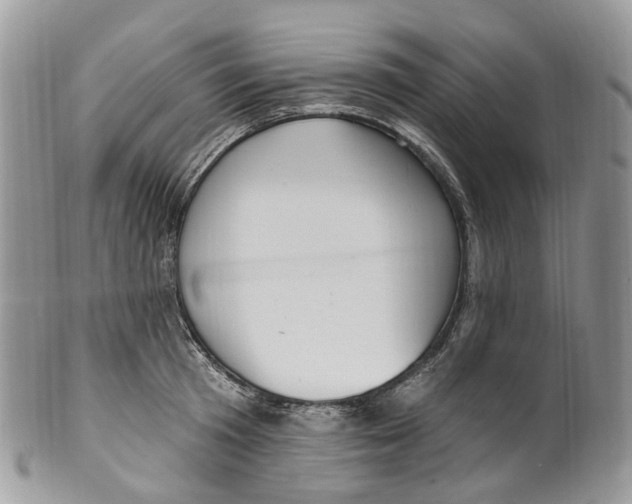 X0000099520801200806051209