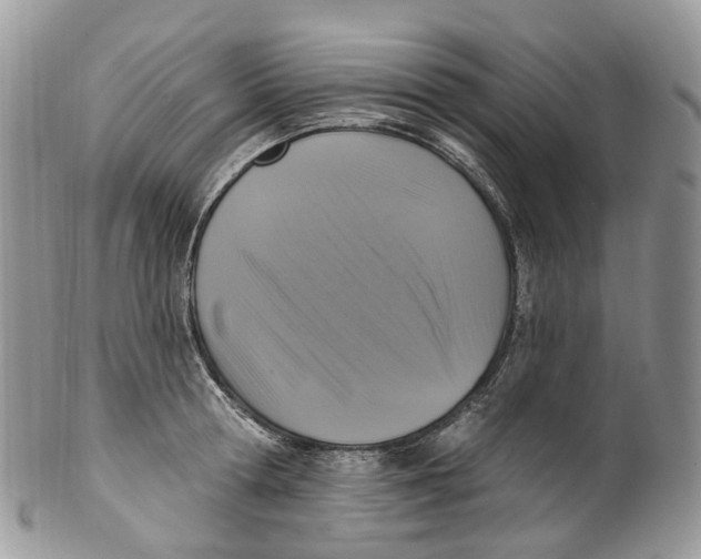 X0000099520802200806051209