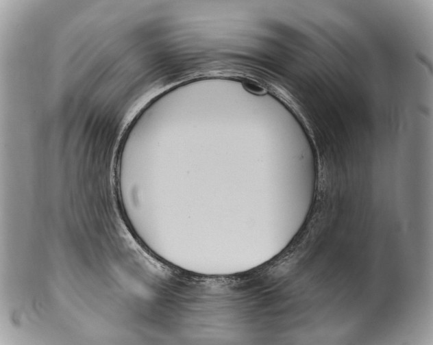 X0000099520803200806051209