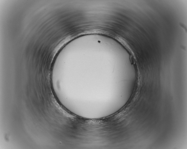 X0000099520805200806051209