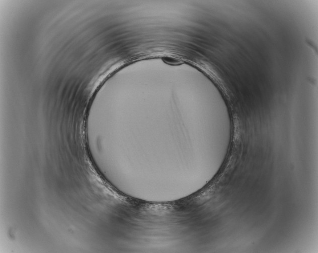 X0000099520806200806051209