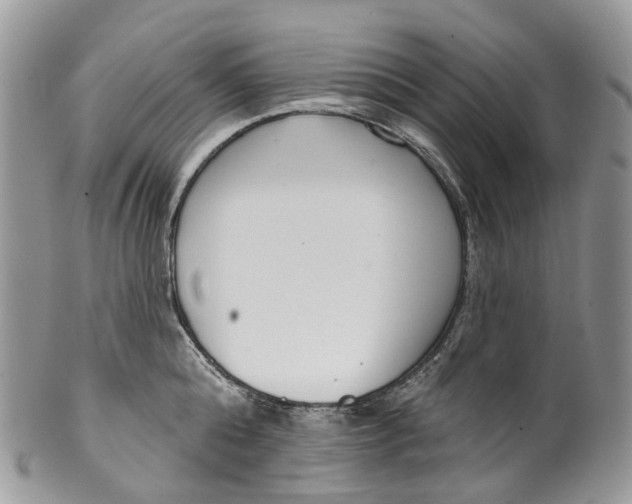 X0000099520808200806051209